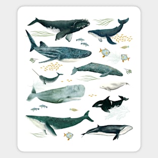 Nautical Nomads Magnet